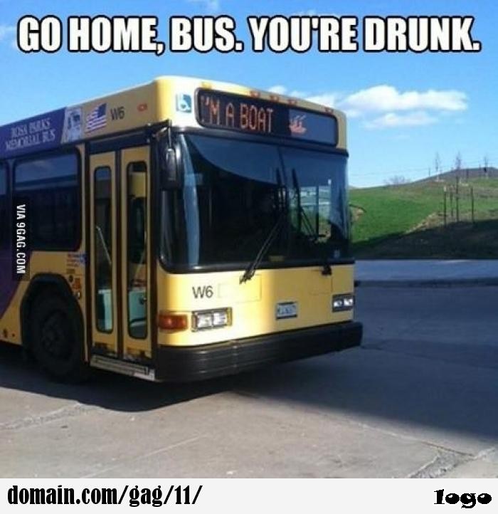 Go home bus  you re drunk