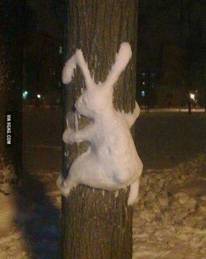 Snow bunny fail running